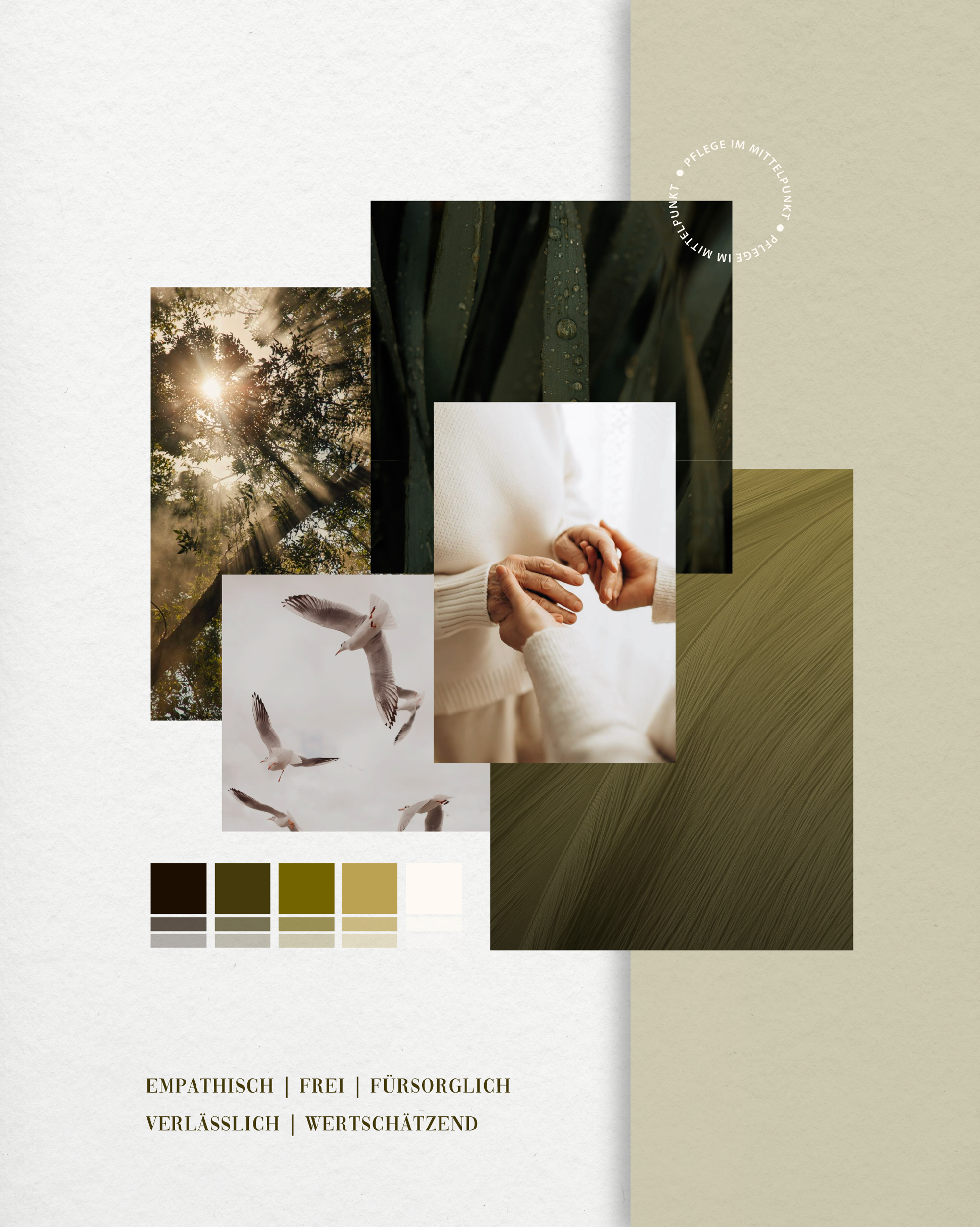 Acura-Feed2 Kopie (Mittel)